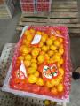 Baby mandarin apelsiner är direkt från fabriken