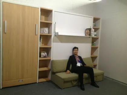 Bed With Sofa,Queen Wall Bed