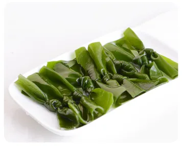 Nutritional Seaweed Laminaria Knots