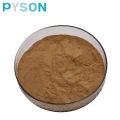 Echinacea Extract Polyphenol 8%