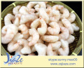 RED SHRIMPS solenocera melantho