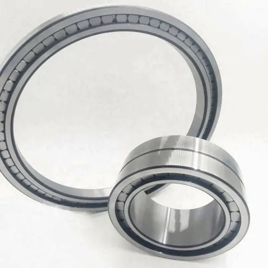SL15934 High Performance Full Complement Cylindrical Roller Bearing