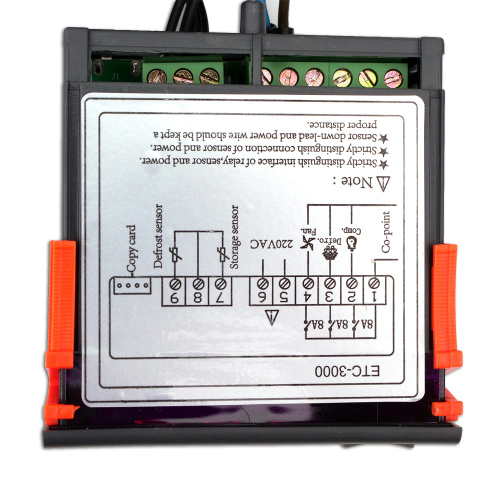 Electronic temperature controller with timer