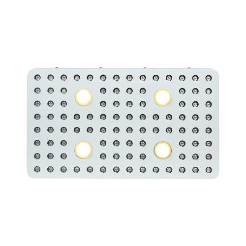 COB 2000W LED 식물은 빛을 발성합니다