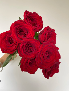 Elegant Naomi Red Rose for Timeless Floral Elegance