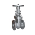 ANSI Cast steel Gate Valve