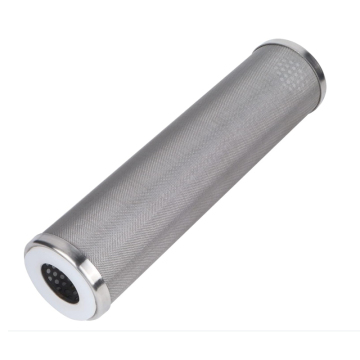 Stainless Steel 304/316 Perforated Mesh Filter Element - 5, 10, 20 Inches