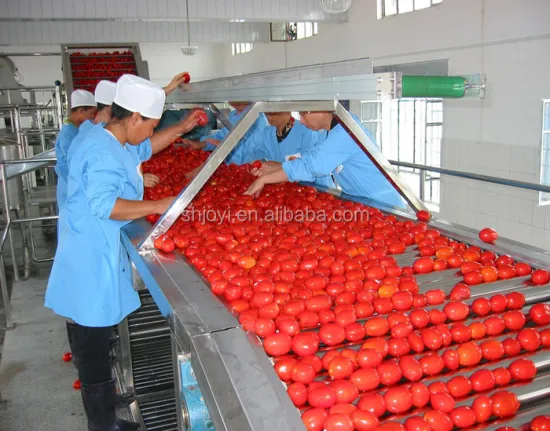 Factory Price Tomato Processing Line: Paste, Jam, Puree & Ketchup Production