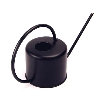 Gardening Stainless Steel Watering Can for Indoor Plant