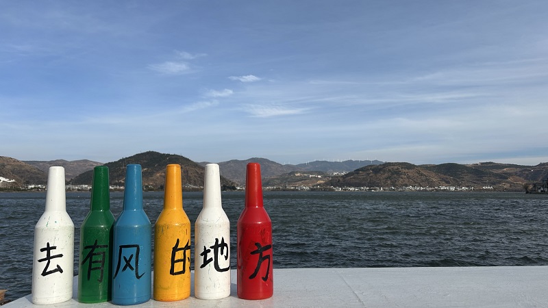 Ziptek's 2026 Spring Festival Team Building Trip in Yunnan Successfully Concluded