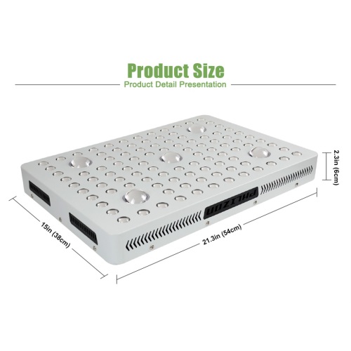 Cree COB LED Grow Light for Weed Growing