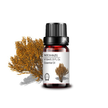 cosmetic grade wholesale bulk witch-Hazel oil for massage