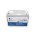 Lithium Iron Phosphate Battery with Bluetooth Monitoring