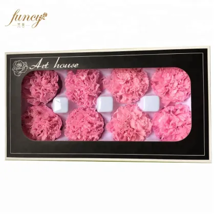 FuncyFlora Wholesale: Natural Preserved Carnation Flowers