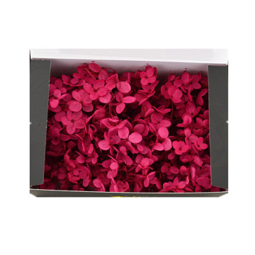 Wholesale Cheap Preserved Hydrangea Flowers for Mother's Day Souvenirs