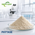 Phytase Enzyme for Feed Phosphorus Release & Nutrition