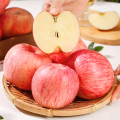 Epal segar untuk epal fuji