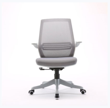 Conference Chair