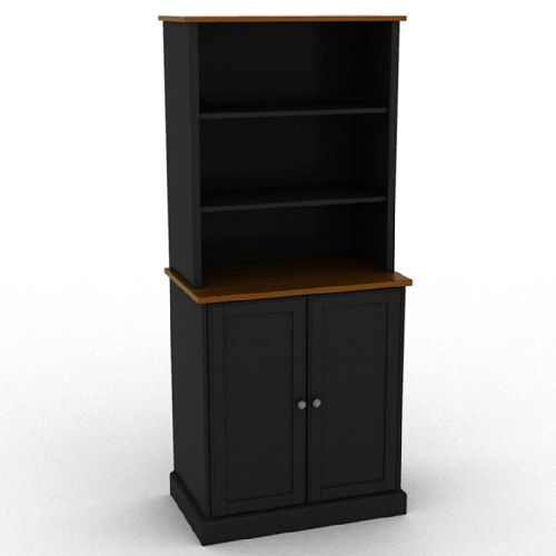 Black Wooden Office Room Furniture Bookcase with Doors