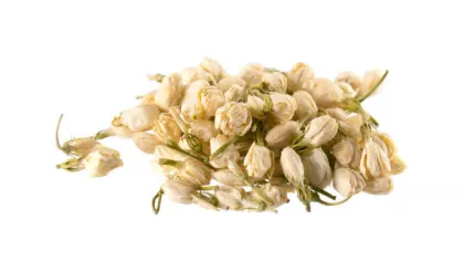 Top Quality Cape Jasmine Fruit Extract