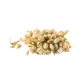 Top Quality Cape Jasmine Fruit Extract