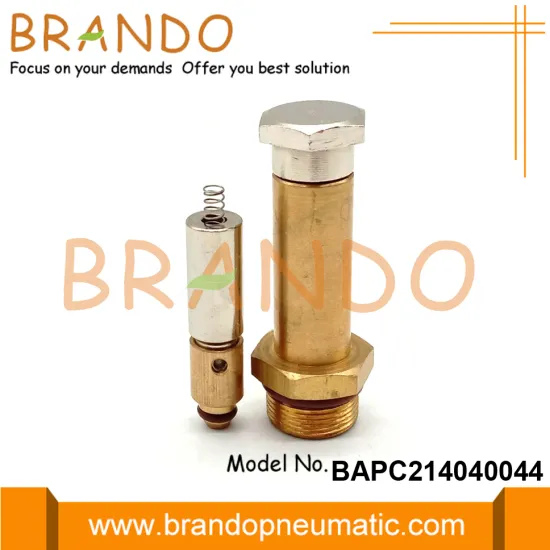 LPG CNG Pressure Reducer Solenoid Armature Plunger Tube
