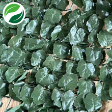 Rede extrudada de planta verde com simulação de folha de bordo