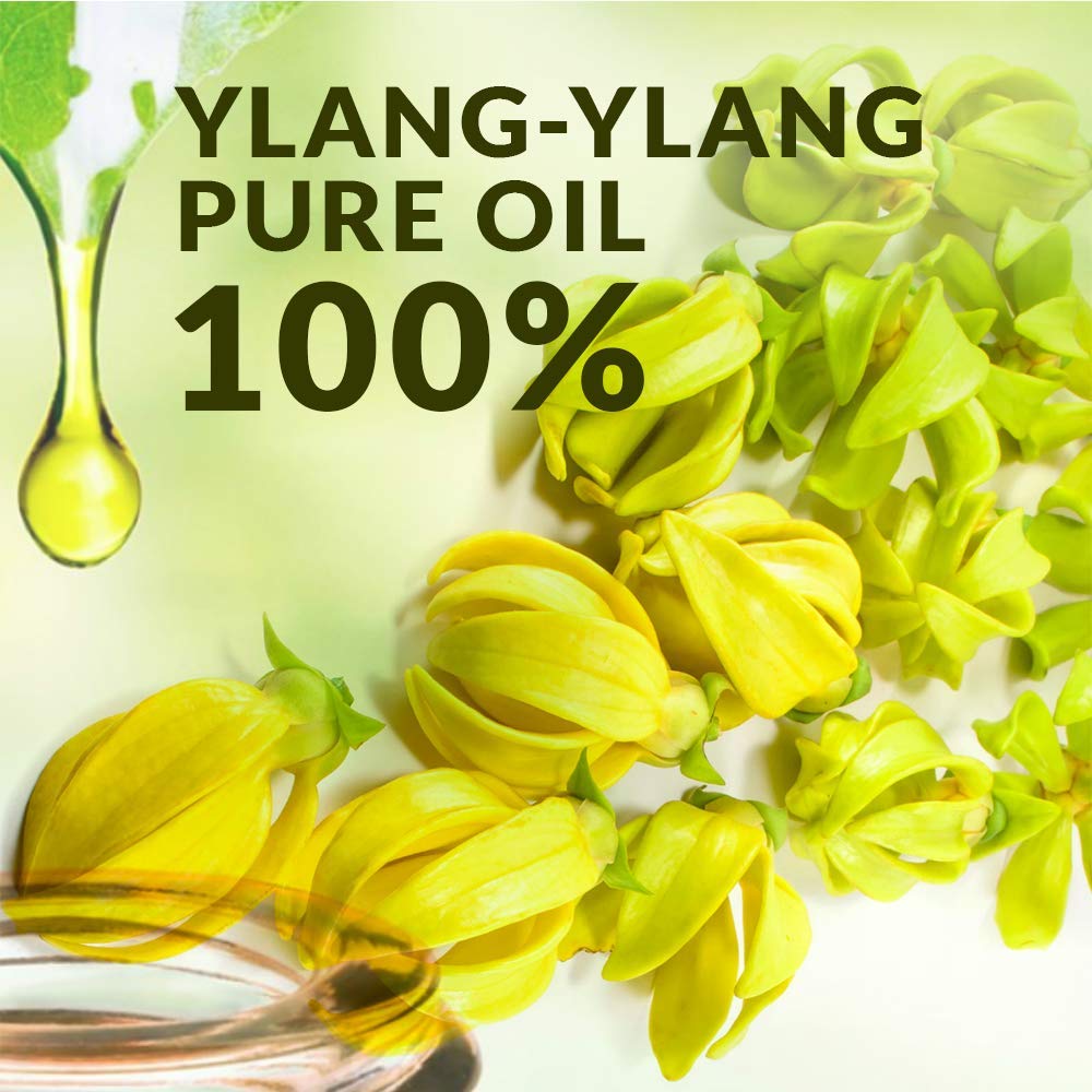 ylang oil2