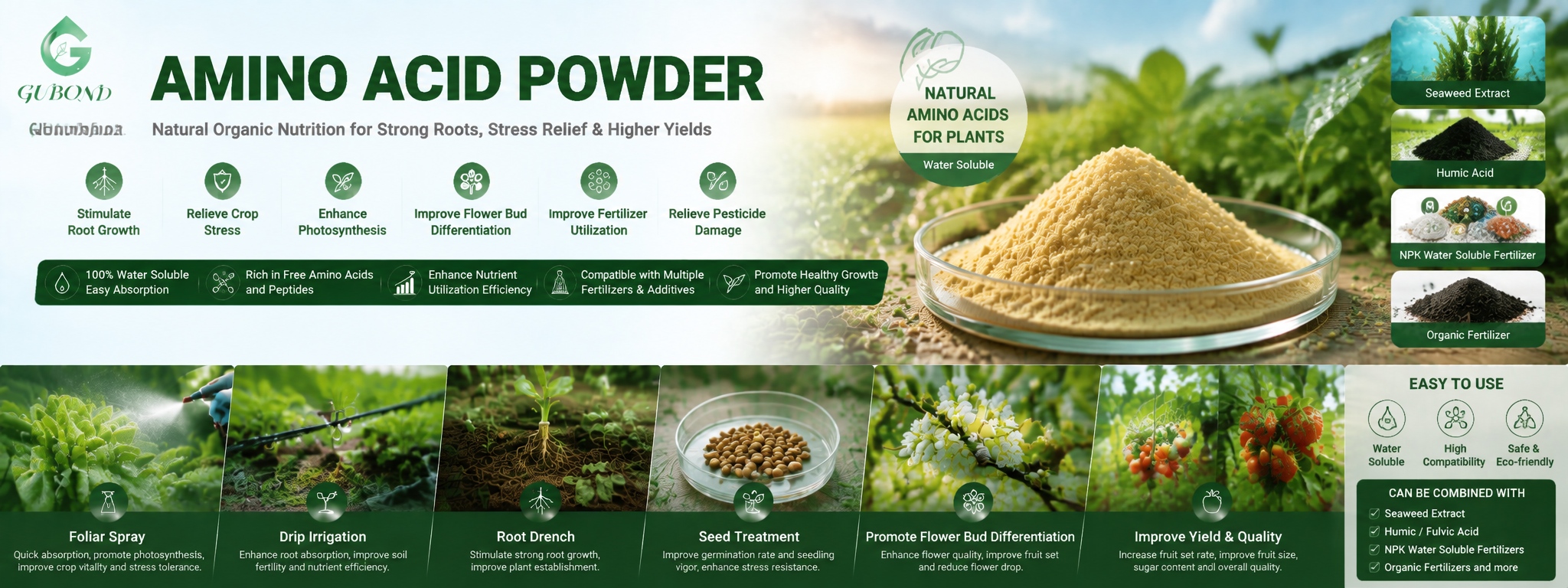 Amino Acid Powder