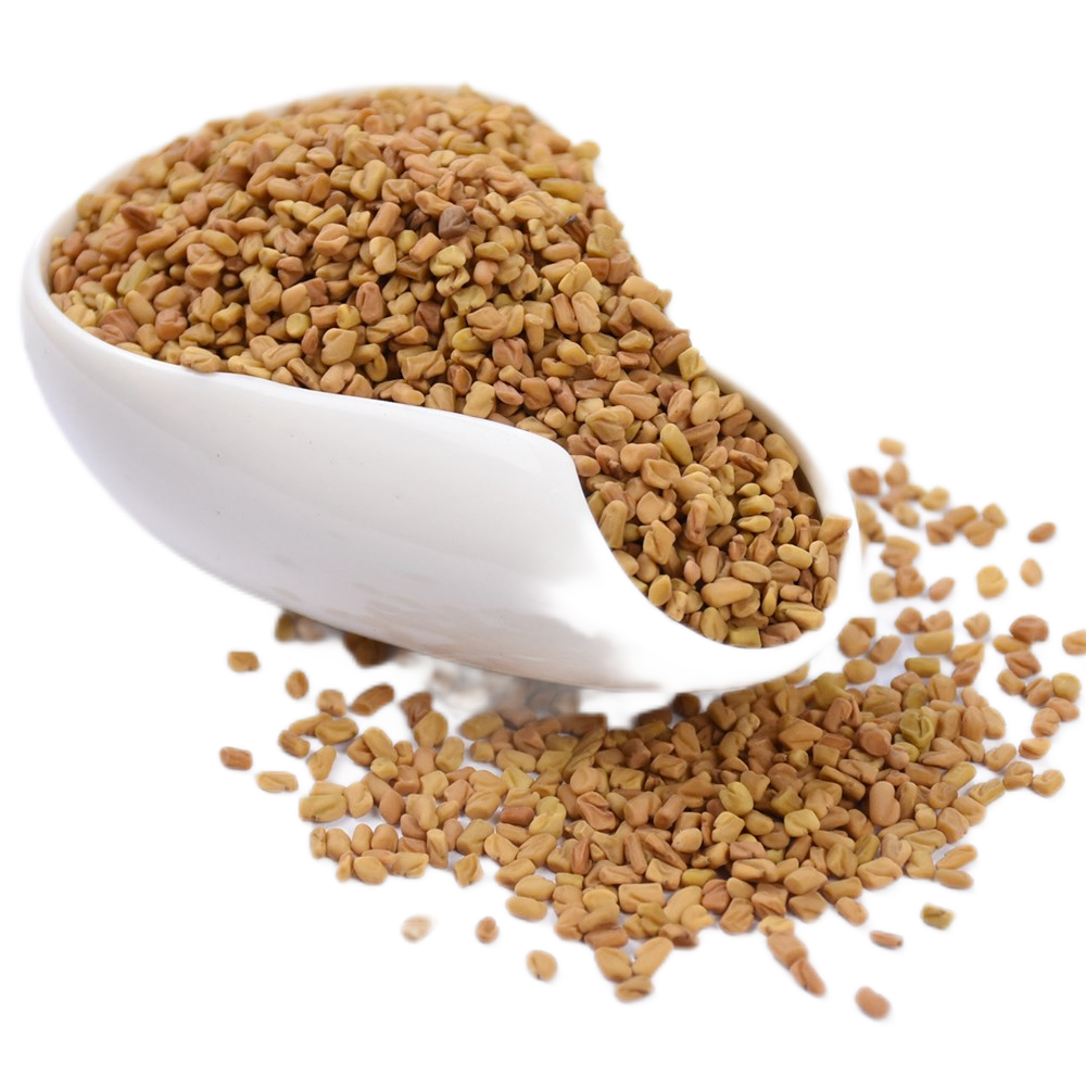 Fenugreek seed