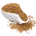 Fenugreek seed Extract powder