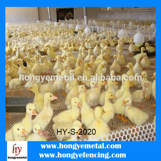 Fine mesh Plastic Mesh, Plastic Flat Net