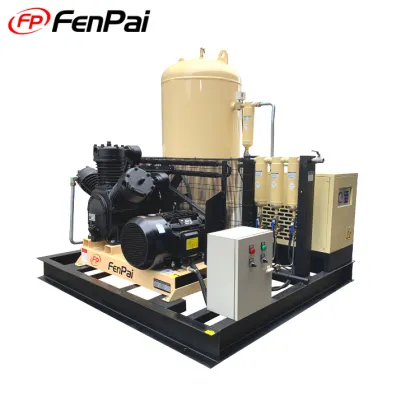 30 Bar 30 HP Air Compressor for Laser Machines