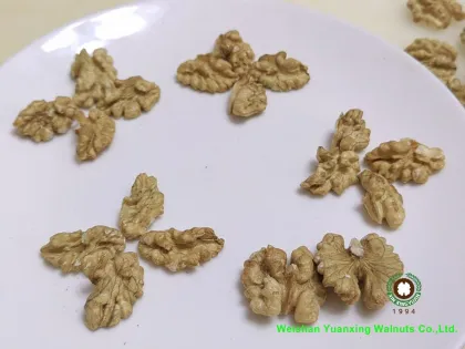 top Grade Bulk Packing Chinese Walnut Kernels Quarters