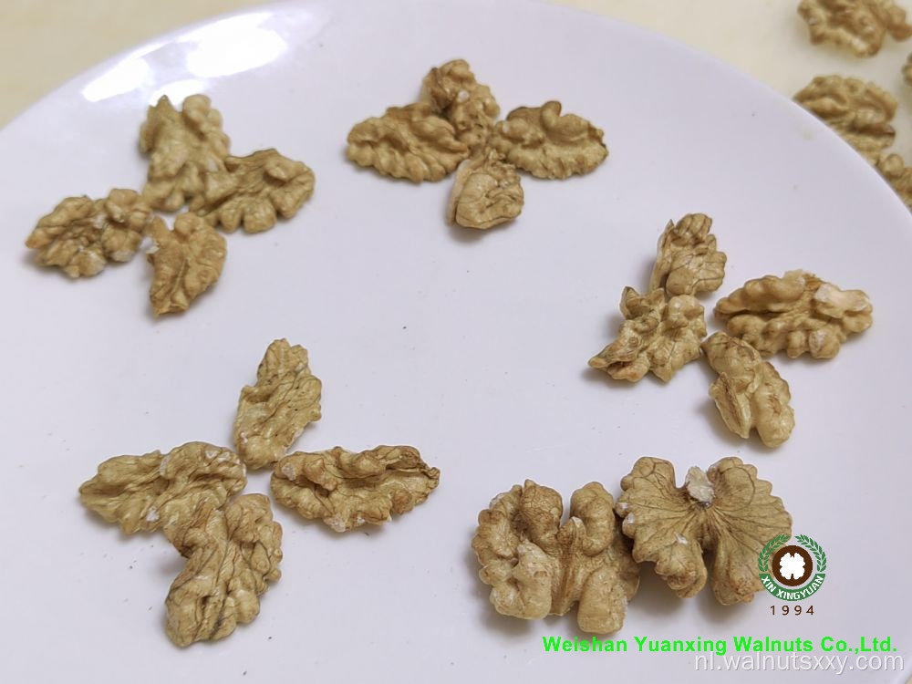 Walnut Kernels Light Color Quarters Gift van God