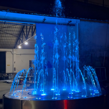 Фаввораи ошёнаи хушк