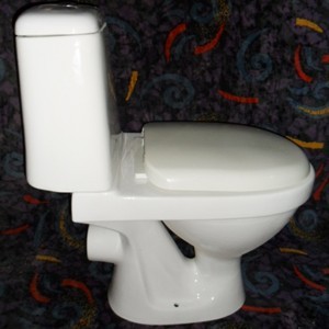 Sanitary Ware Hot-Sale Russia Market Shape Two Piece Toilet (TT8200P)