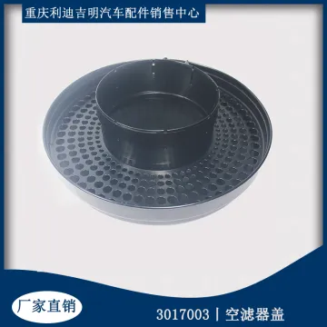 Diesel engine spare Parts Air Cleaner Cover 3017003
