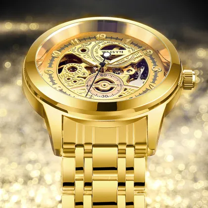 Golden Watch Men's Top Brand Luxury Luminous Mechanical Watch