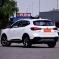 Xe xăng 5 chỗ nhỏ gọn Mg HS