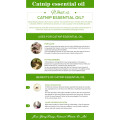 pure natural catnip oil