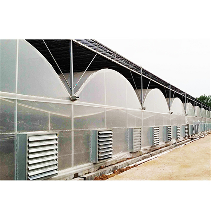Multi Span Plastic Film Greenhouse For Agriculture
