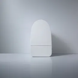 Strong Flushing Sink Tank One Piece Ceramic Toilet