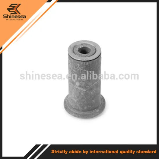 Auto Spare Front Suspension Bushing for BMW 518 32211129807 32211133698 32211136452
