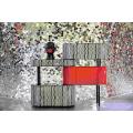Singerboard moderno elegante con característica roja audaz
