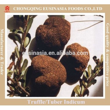 black frozen truffle tuber indicum