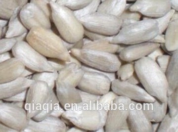 Sunflower kernel price for Indian market