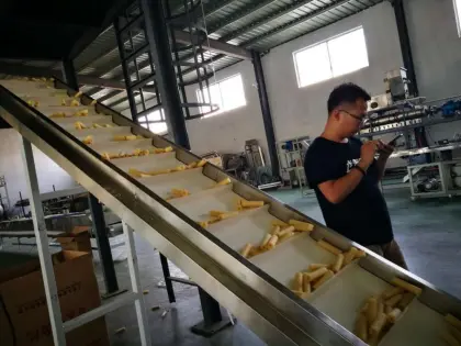 Core Filling Snack Extruder Equipment