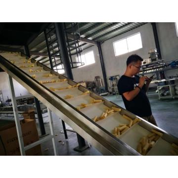 Core Filling Snack Extruder Equipment