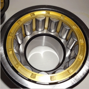 Double Row Cylindrical Roller Bearing (3182148/NN3048K)